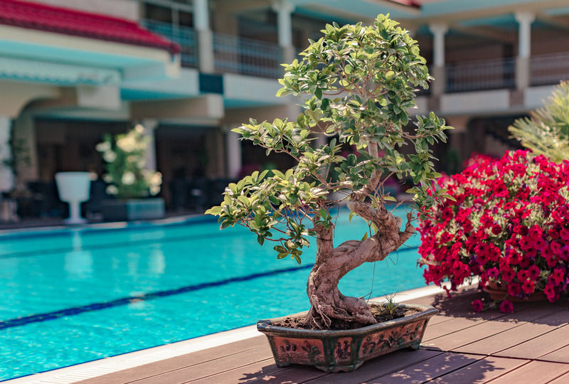 Vox Maris Grand Resort (Adults Only) Costinesti Buitenkant foto